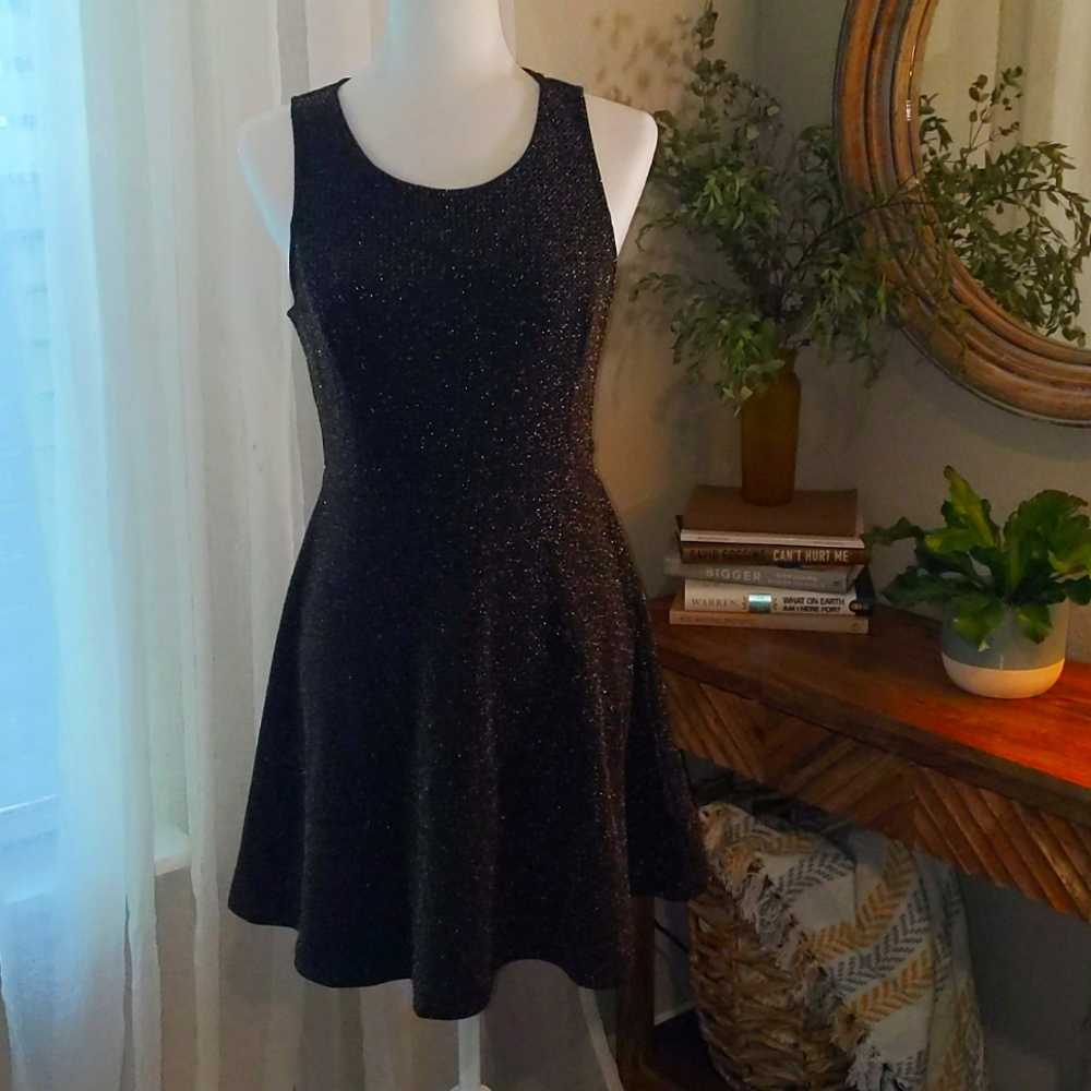 Skies Are Blue Skater Dress